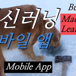 5종 신기(神器) - 머신러닝 모바일 앱 5종 따라 만들기 - Firebase ML Kit 과 Flutter, TensorFlow Lite 이용