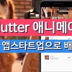 앱 스타트업으로 배우는 플러터 애니메이션