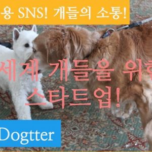 파이썬 장고 트위터 클론 만들기 - 장고 뷰 연동