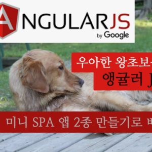 2021 우아한 왕초보를 위한 기초 앵굴러 js 강좌 - 초강력 미니 SPA앱 2종 만들기!