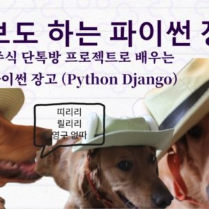 파이썬 장고 (Python Django) - 기초부터 프로젝트까지 - 만드는 단톡방 제작으로 배우는 장고