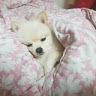 xodnrqkdrn@gmail.com님의 프로필 사진