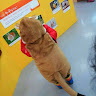 salgugol@googlemail.com님의 프로필 사진